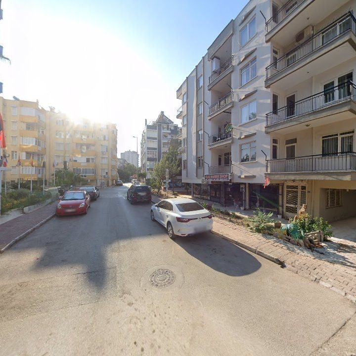 Fotoğraf 12