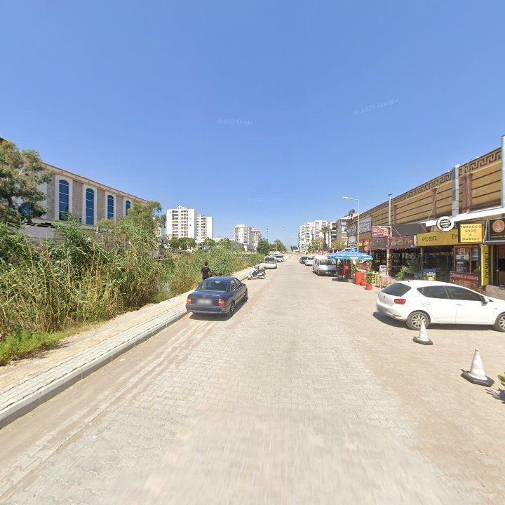 Fotoğraf 9