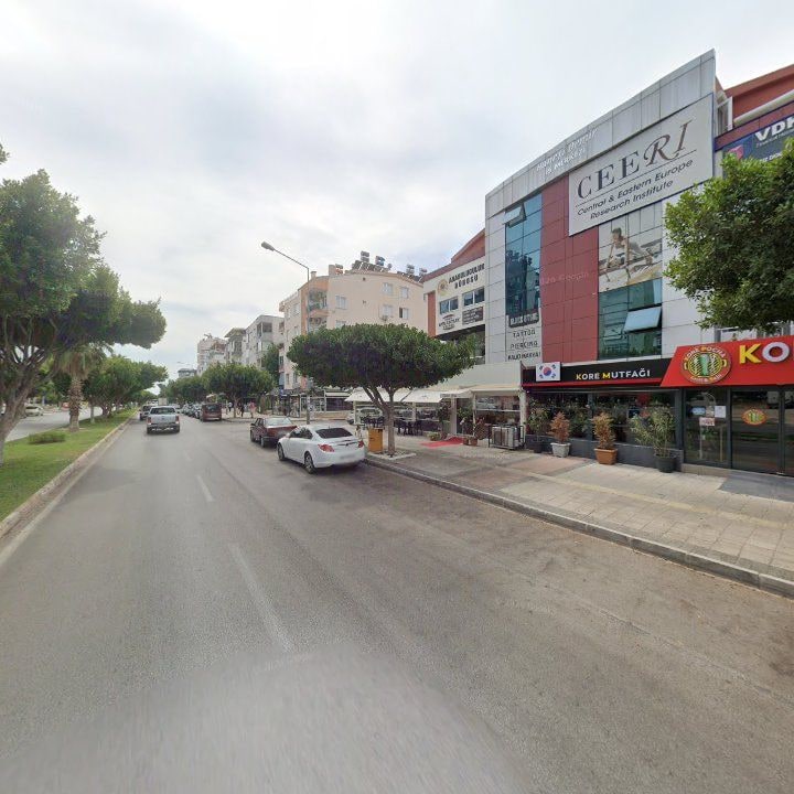 Fotoğraf 13