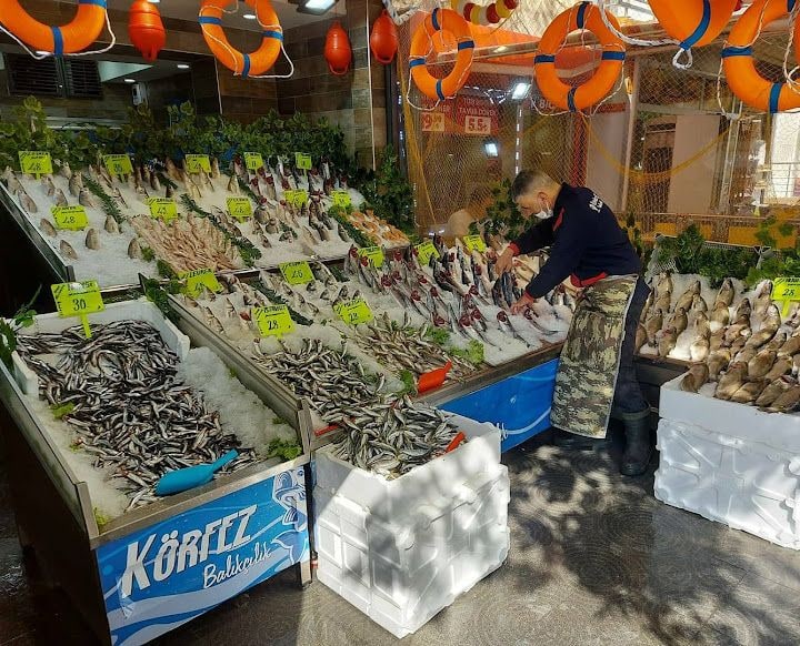 Körfez Balıkçılık