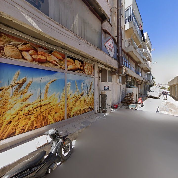 Fotoğraf 10