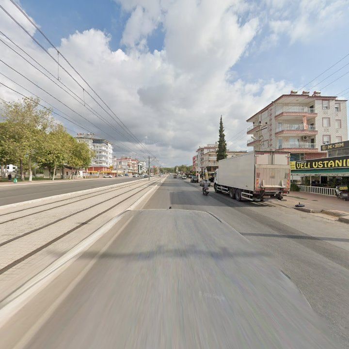 Fotoğraf 9