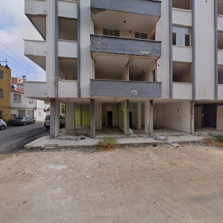 Fotoğraf 8