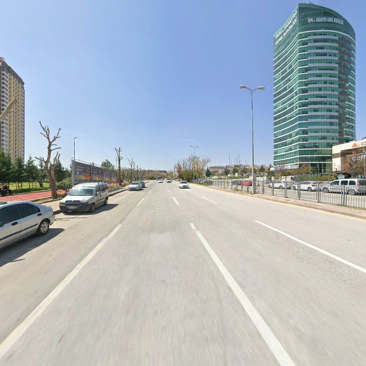 Fotoğraf 11
