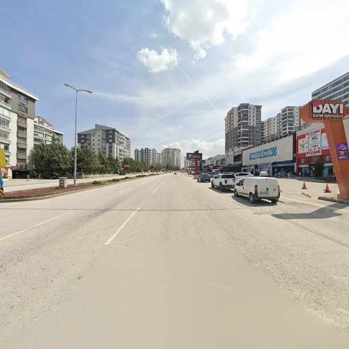 Fotoğraf 10