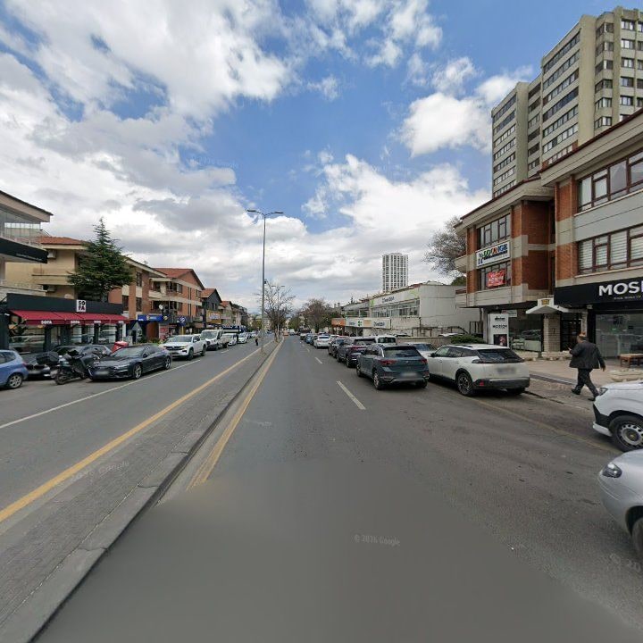 Fotoğraf 10