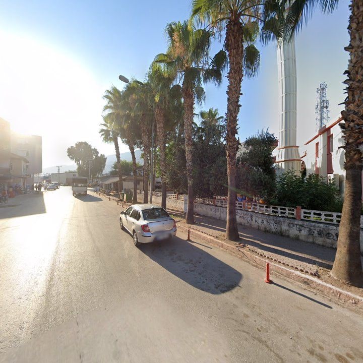 Fotoğraf 4