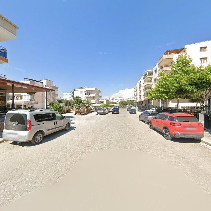 Fotoğraf 16