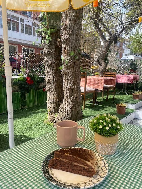 Fotoğraf 7