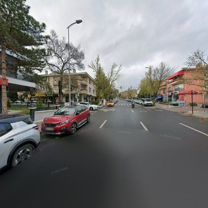 Fotoğraf 11