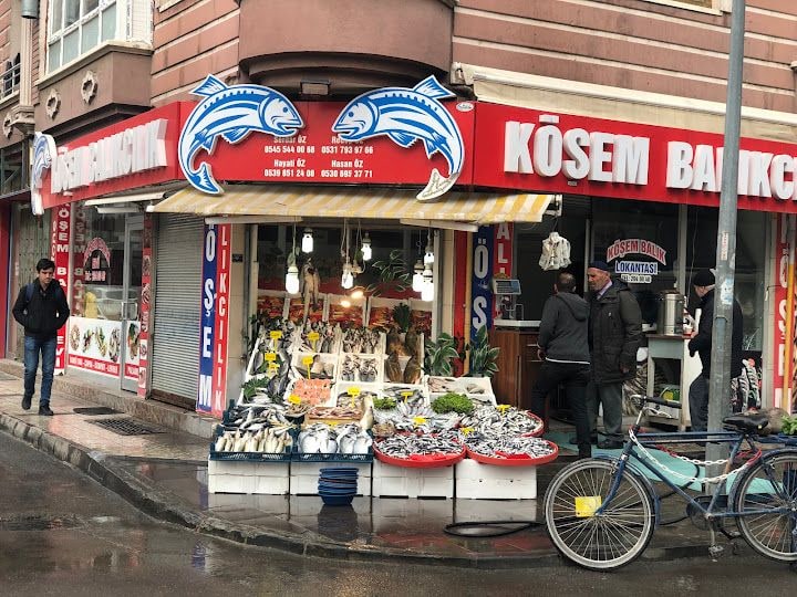 Köşem Balıkçılık