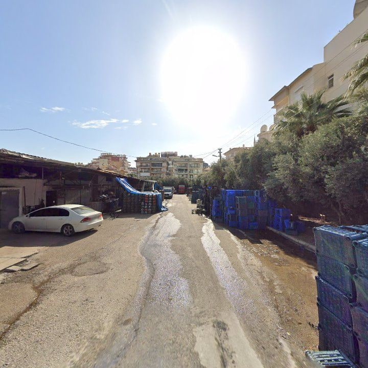 Fotoğraf 8