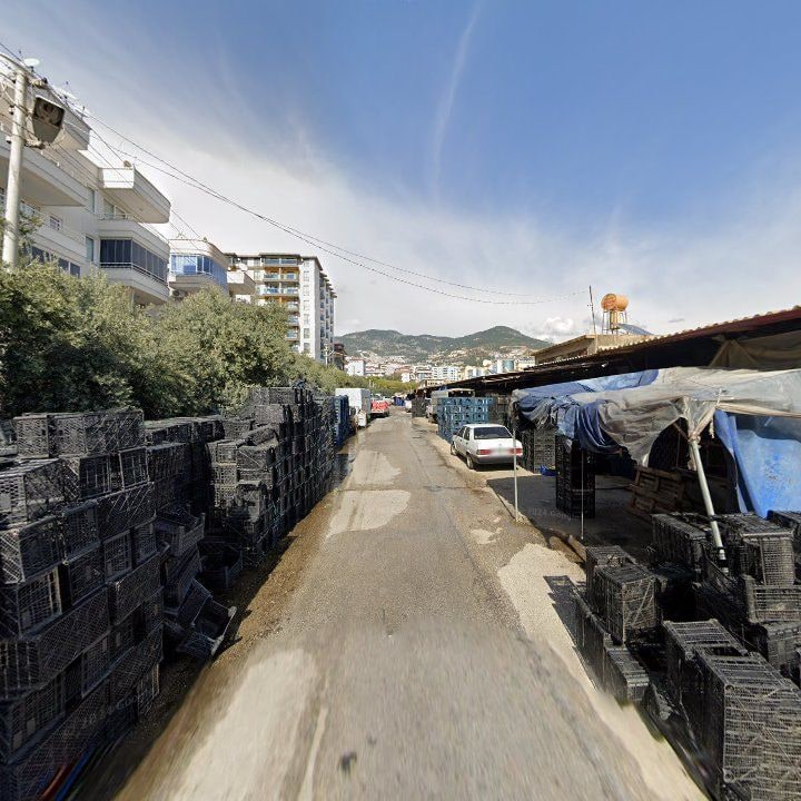 Fotoğraf 10