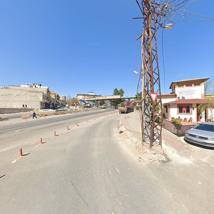 Fotoğraf 9