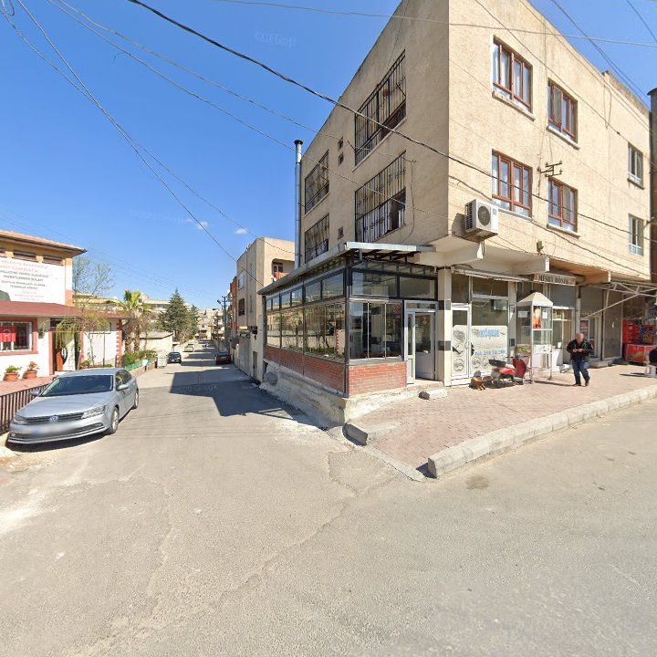 Fotoğraf 6