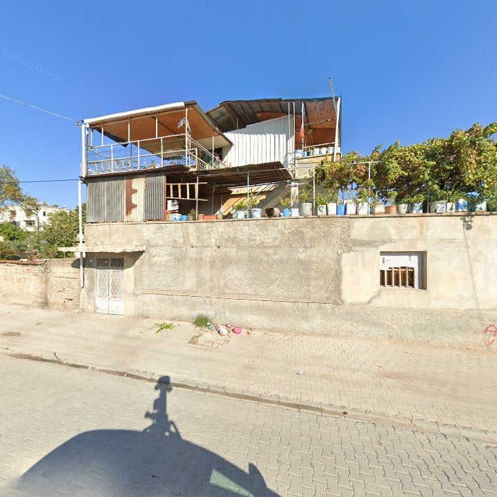 Fotoğraf 2