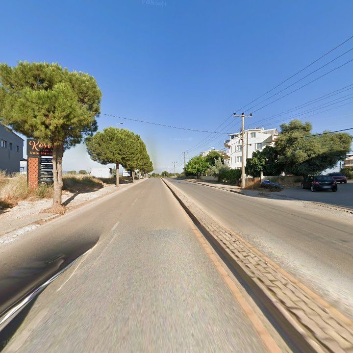 Fotoğraf 12