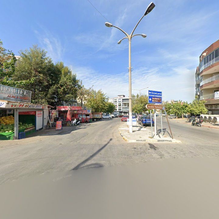 Fotoğraf 8