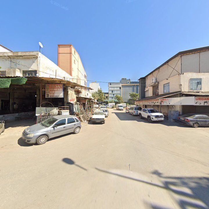 Fotoğraf 11