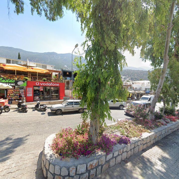 Fotoğraf 8
