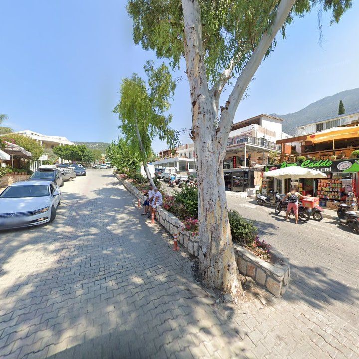 Fotoğraf 11