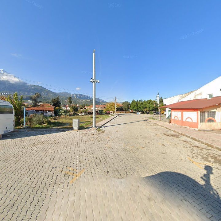 Fotoğraf 10