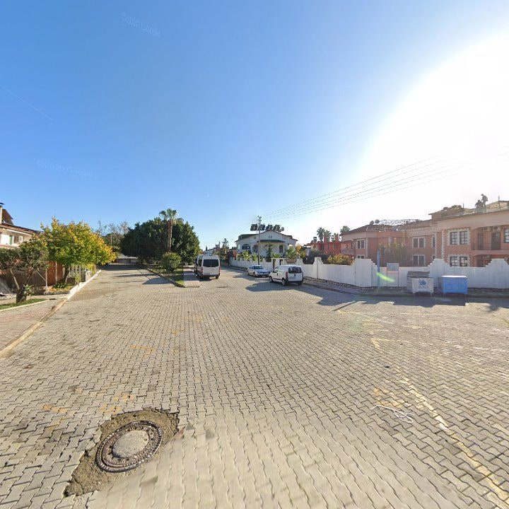 Fotoğraf 8