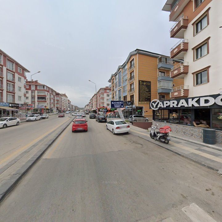 Fotoğraf 7