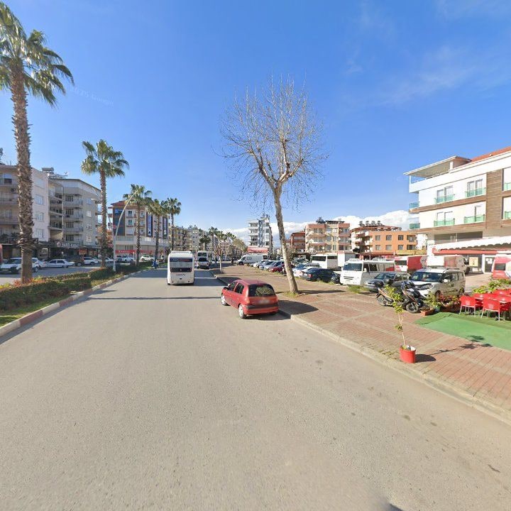 Fotoğraf 10