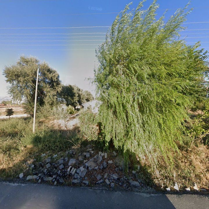 Köşk Balık Izgara