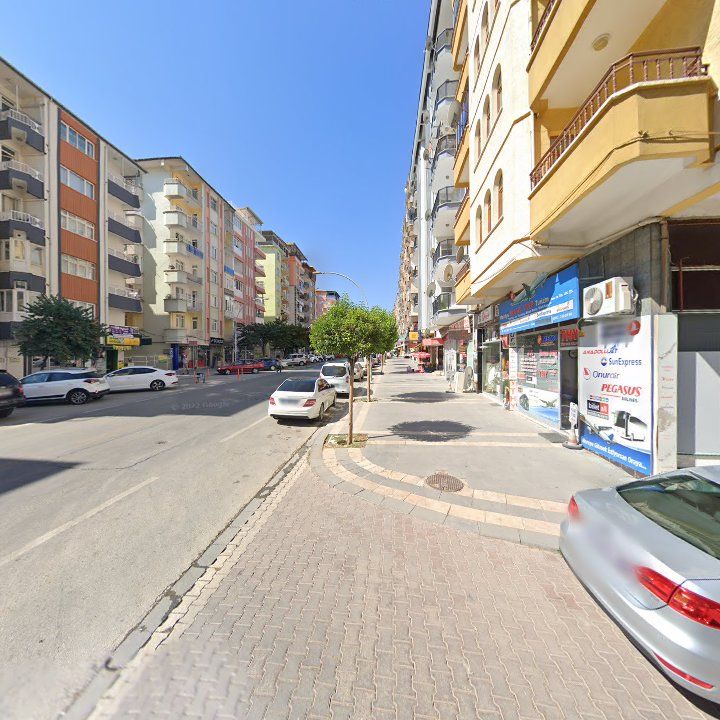 Fotoğraf 9