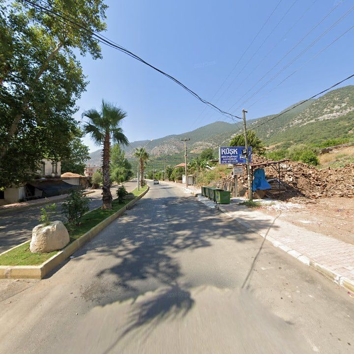 Fotoğraf 9