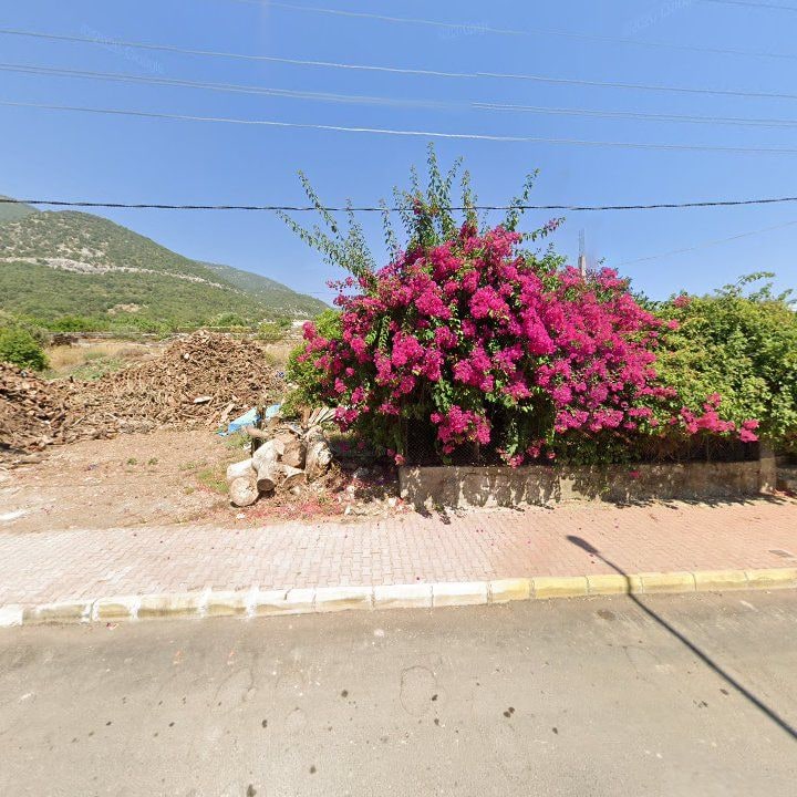 Fotoğraf 10