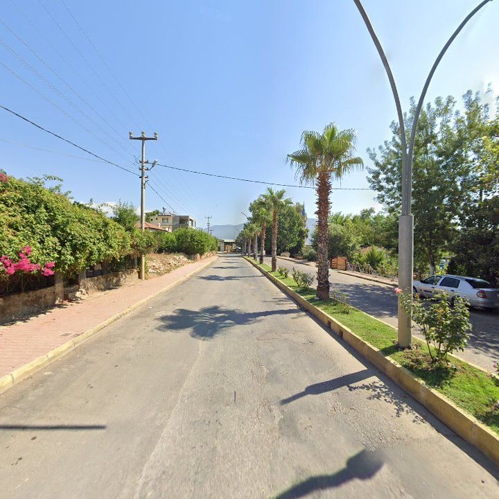 Fotoğraf 11