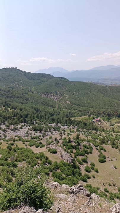Kosurga Yaylası