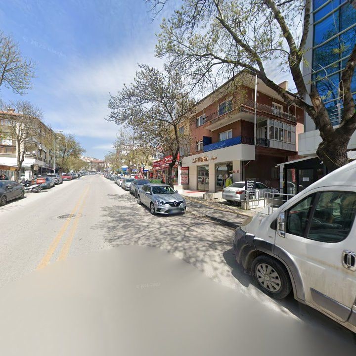 Fotoğraf 7