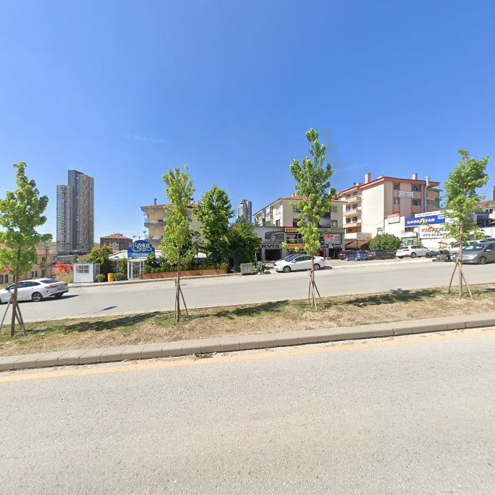 Fotoğraf 11