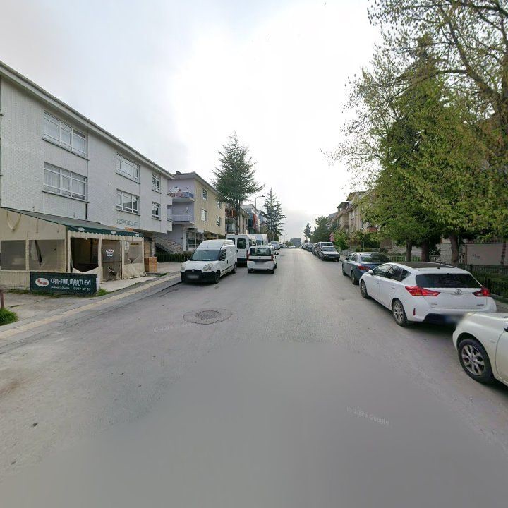 Fotoğraf 8