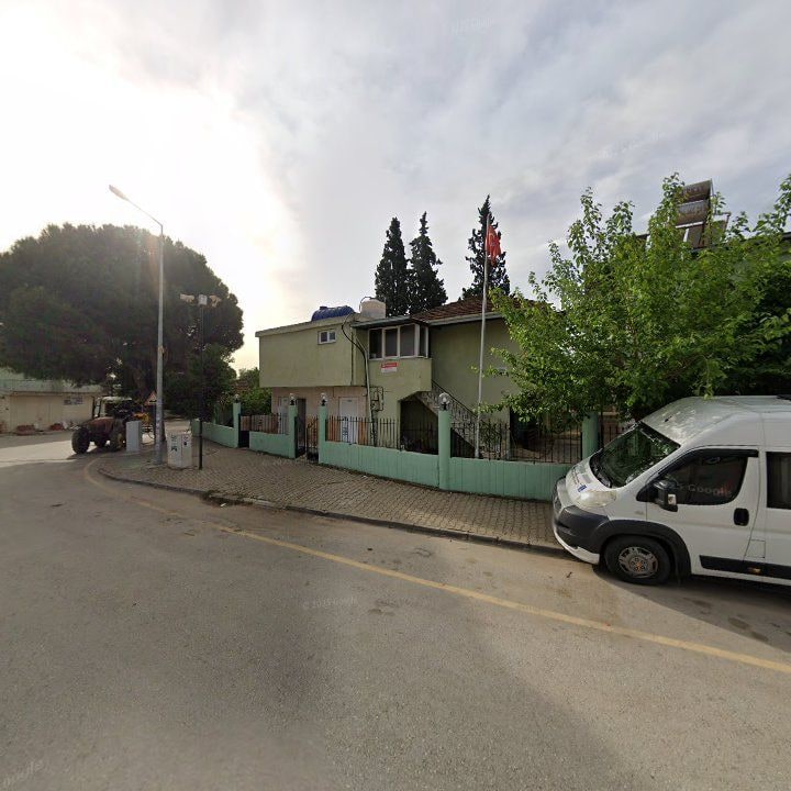 Fotoğraf 6