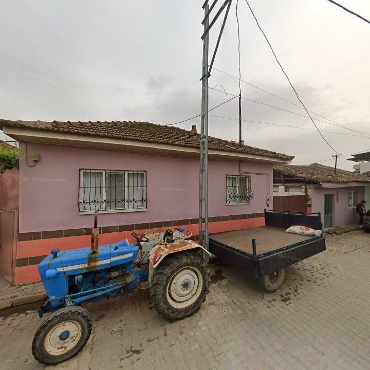 Fotoğraf 6