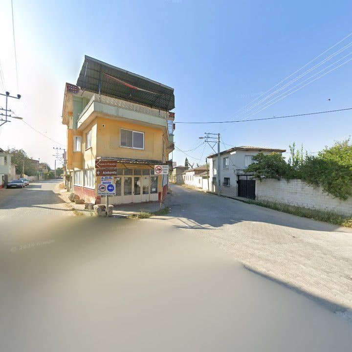Fotoğraf 11