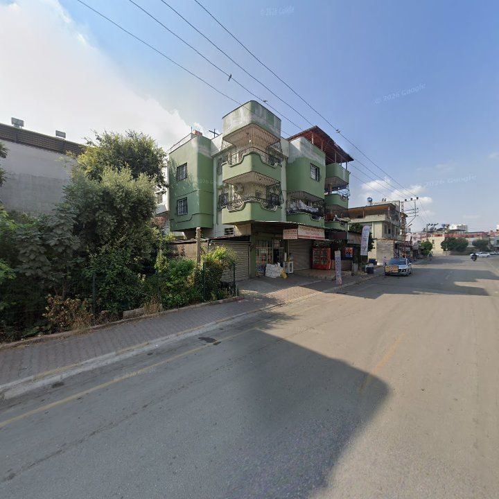 Fotoğraf 9