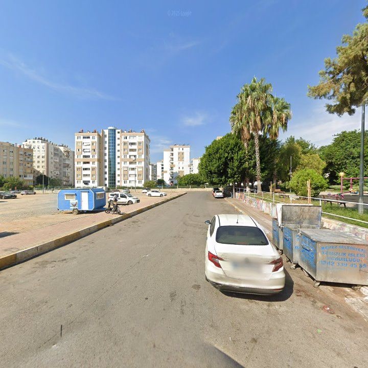 Fotoğraf 9