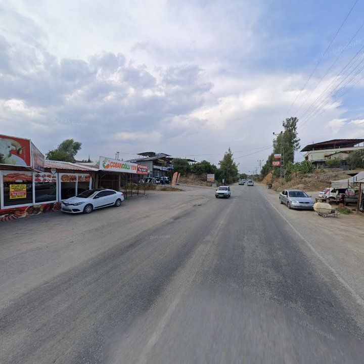 Fotoğraf 7