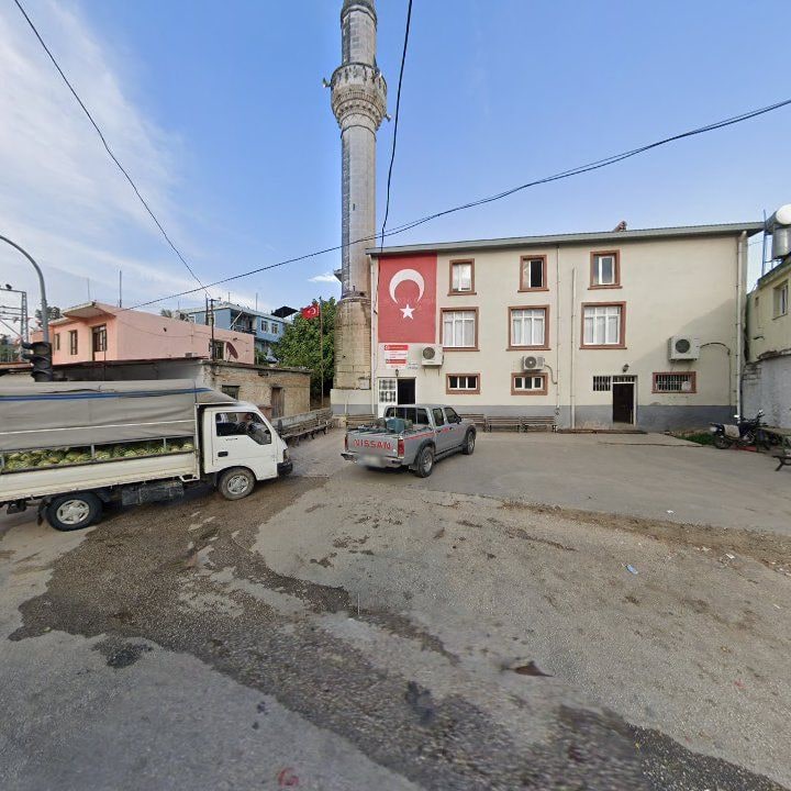 Fotoğraf 7
