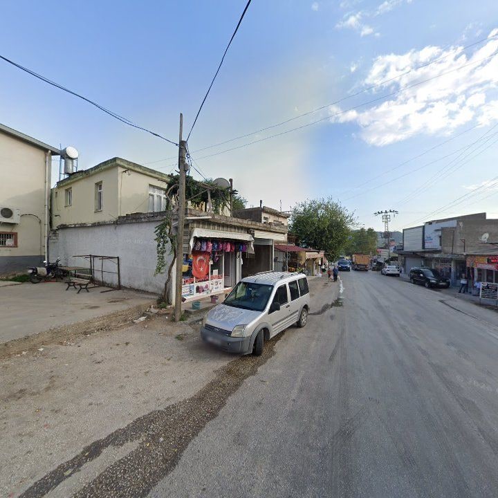 Fotoğraf 8