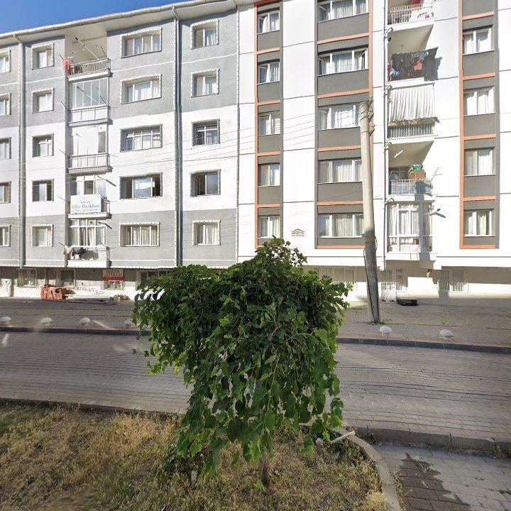 Fotoğraf 8