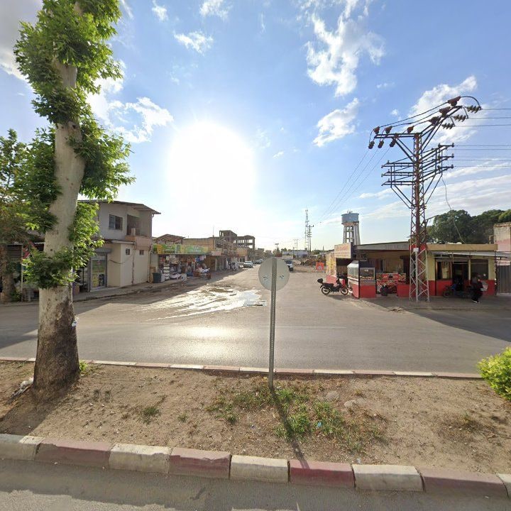 Fotoğraf 5