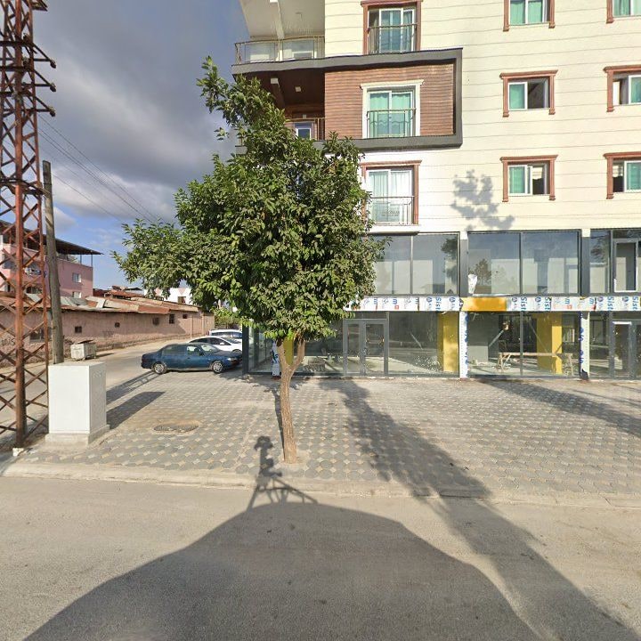Fotoğraf 7