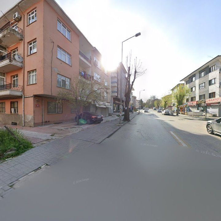 Fotoğraf 13